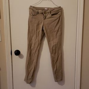 🍄 No Boundaries Khaki bundle